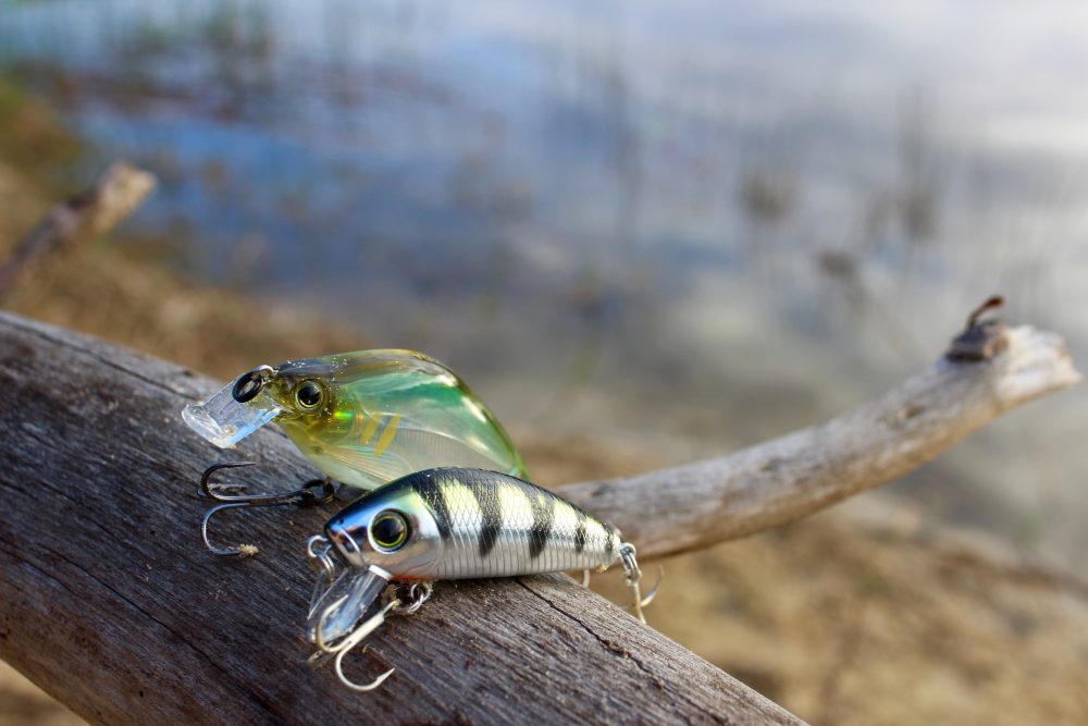 artificial baits|smallmouth-bass-hanson