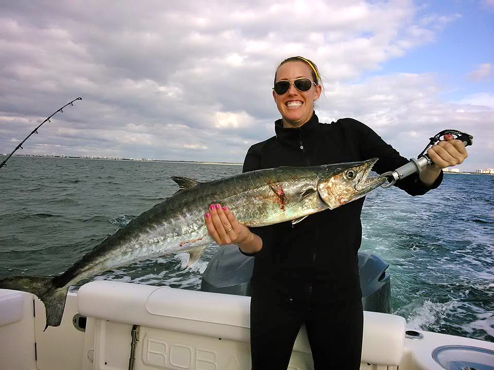 King Mackerel