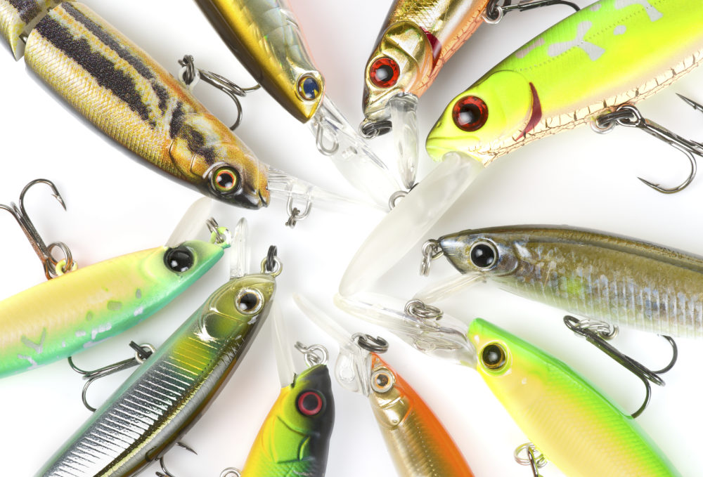 5 Tips on Fishing Jerkbaits for Bass - SheFishes2