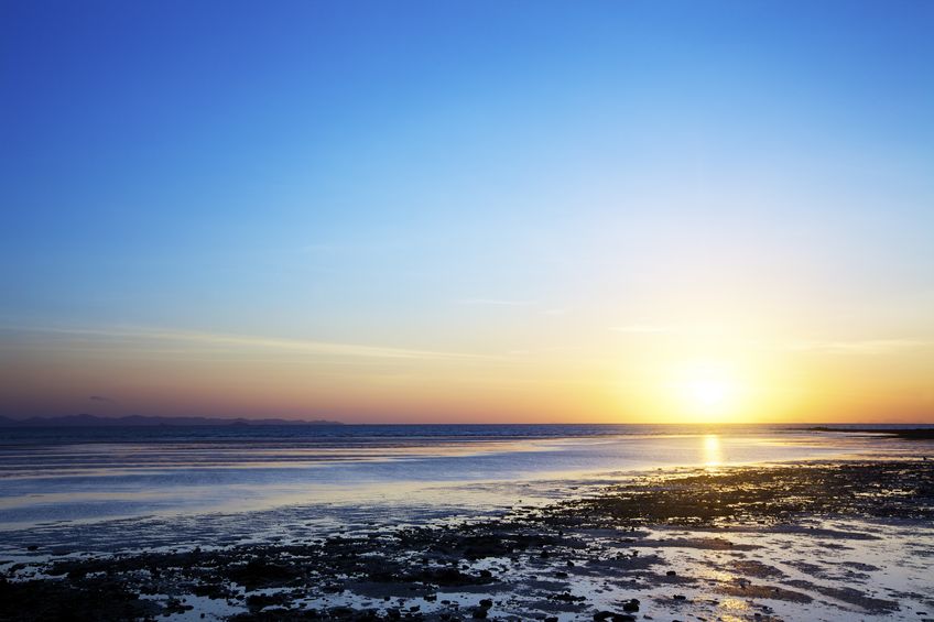 low-tide-beach