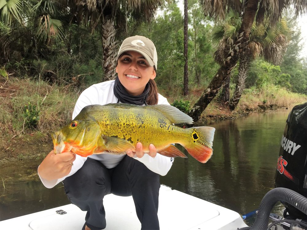 Peacock Bass Fishing