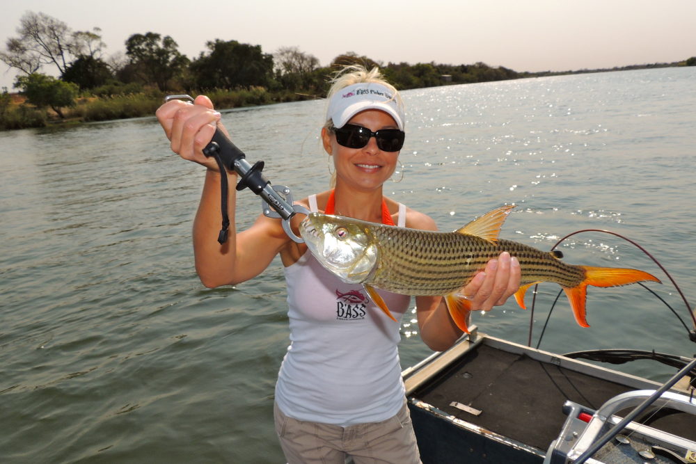 tigerfish-africa