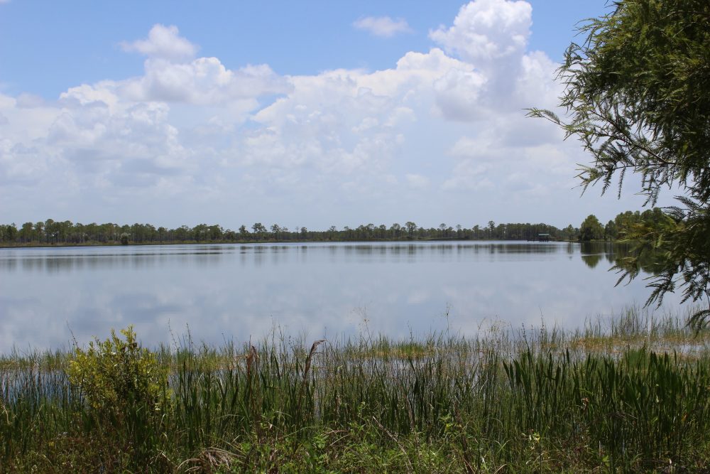 Webb Lake 