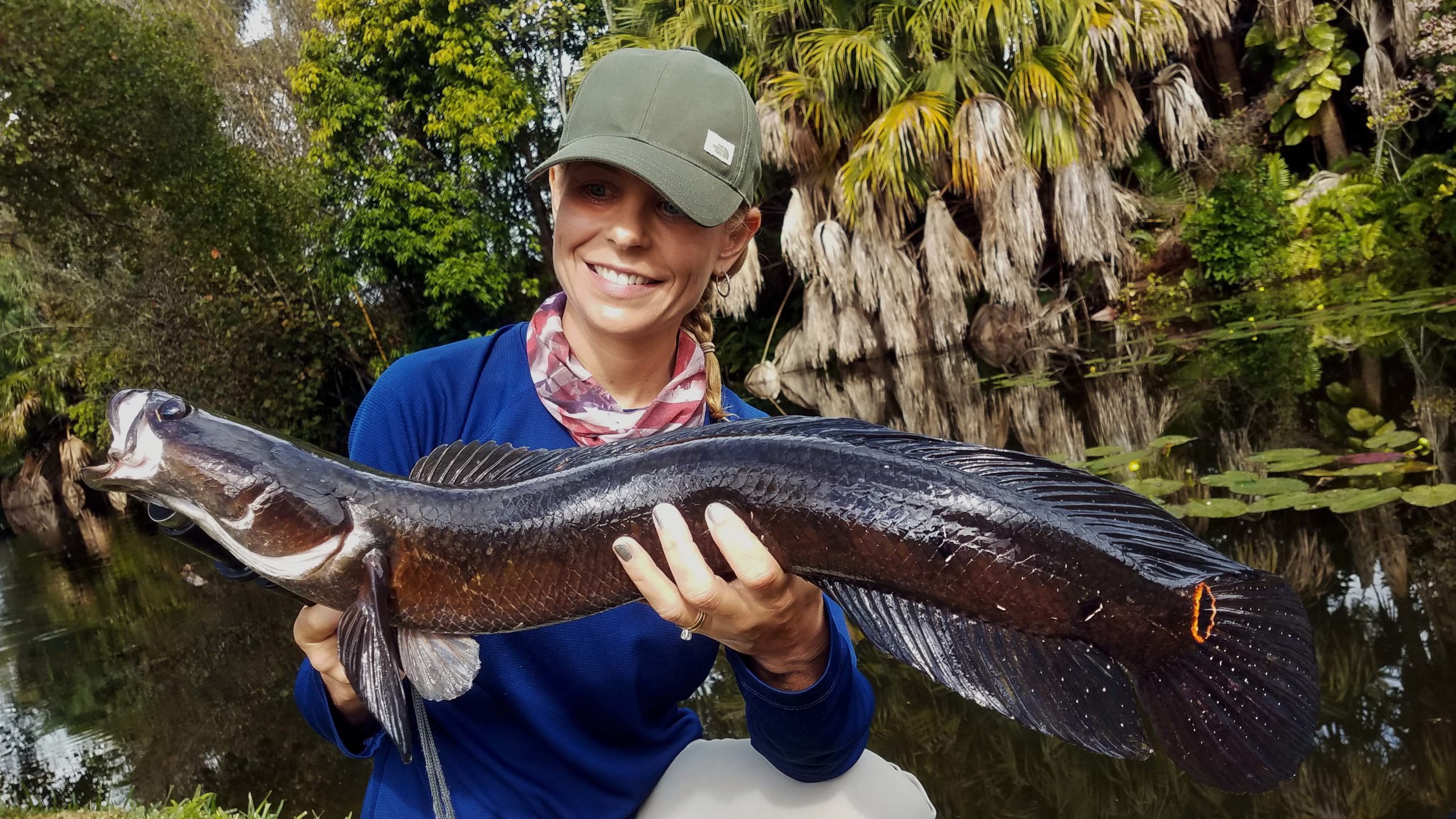 How the Snakehead Earned a Spot on Freshwater Bucket Lists