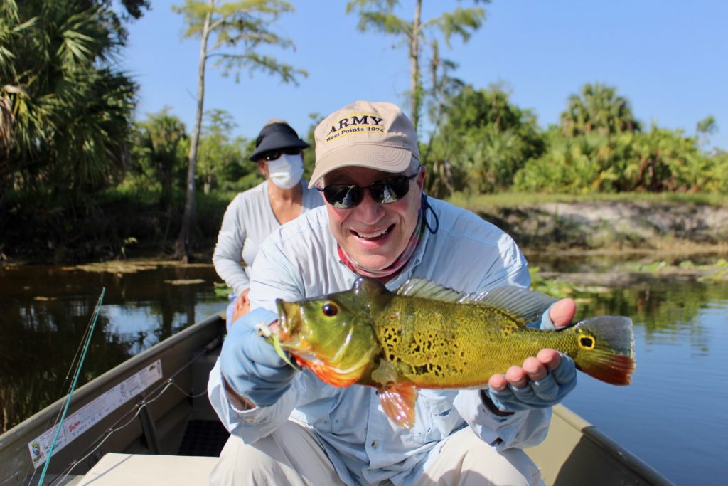 peacock bass