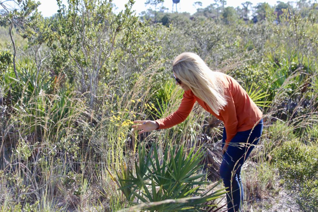 scrub habitat