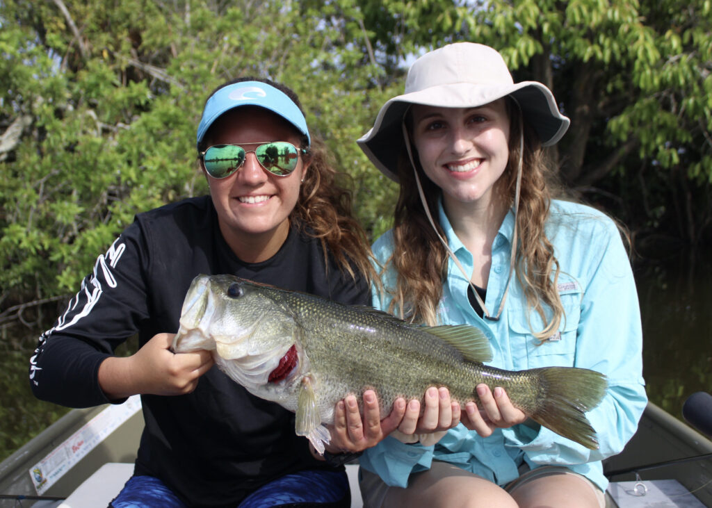 largemouth bass