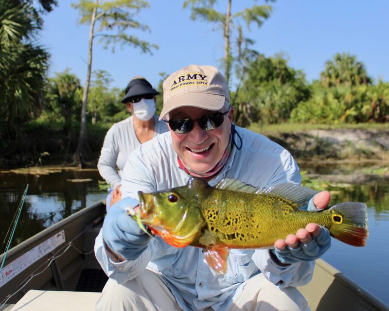 peacock bass