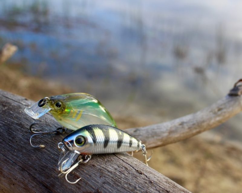 artificial baits|smallmouth-bass-hanson