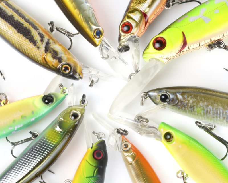 bass fishing jerkbaits