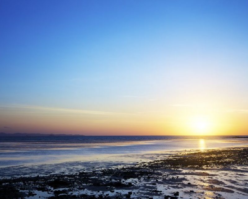 low-tide-beach