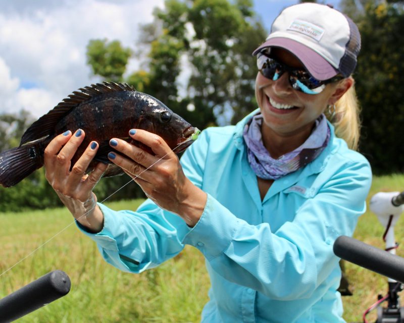 mayan-cichlid-exotic