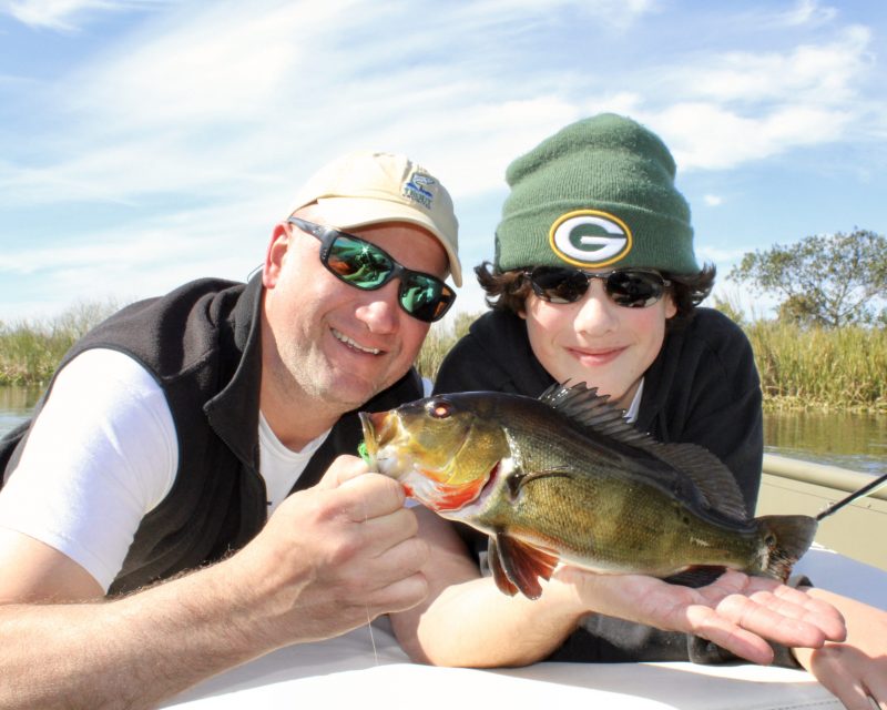 peacock-bass-everglades